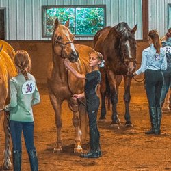 Transitions Equestrian Center