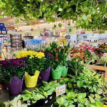 Market Basket - a variety of plants for sale - Grocery Near Me - Johnston, Rhode Island Market Basket - a variety of plants for sale - Grocery Near Me - Johnston, Rhode Island