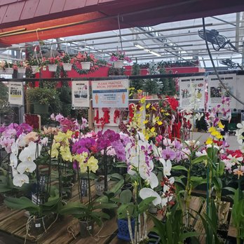 Valley View Farms - Orchids - Nurseries & Gardening Near Me - Cockeysville, Maryland Valley View Farms - Orchids - Nurseries & Gardening Near Me - Cockeysville, Maryland