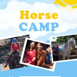 100 Acre Wood Horse Farm