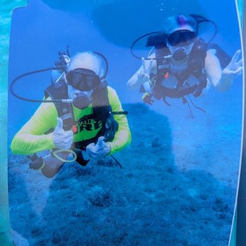 Sand Dollar Sports - Scuba Diving Near Me - Cozumel, ROO Sand Dollar Sports - Scuba Diving Near Me - Cozumel, ROO