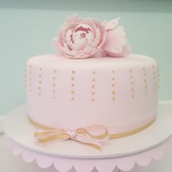 The Cupcake Princess