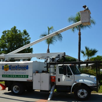 Tony Gomez Tree Service - Trusted Tree Service for over 25 years! - Tree Services Near Me - El Cajon, California Tony Gomez Tree Service - Trusted Tree Service for over 25 years! - Tree Services Near Me - El Cajon, California