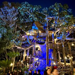Adventureland Treehouse - Adventureland Treehouse