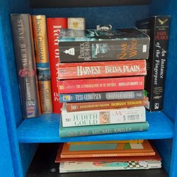 Little Free Library - Books inside the Little Free Library at Matthias Baldwin Park