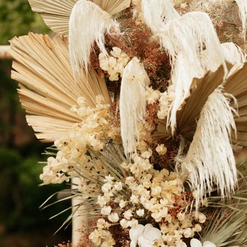 A florae - Wedding Planning Near Me - Longmont, Colorado