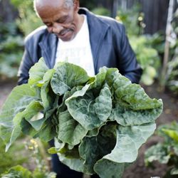 Collective Roots Community Garden - Volunteer with vegetables harvested from the garden