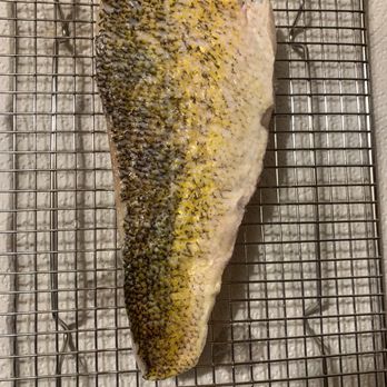 Alaskan Pride Seafoods - Walleye filet - Seafood Markets Near Me - Phoenix, Arizona Alaskan Pride Seafoods - Walleye filet - Seafood Markets Near Me - Phoenix, Arizona