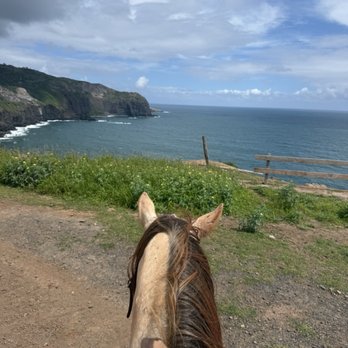 Circle M Ranch - Horseback Riding Near Me - Wailuku, Hawaii