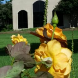 St. Barnabas United Methodist Church - SBUMC