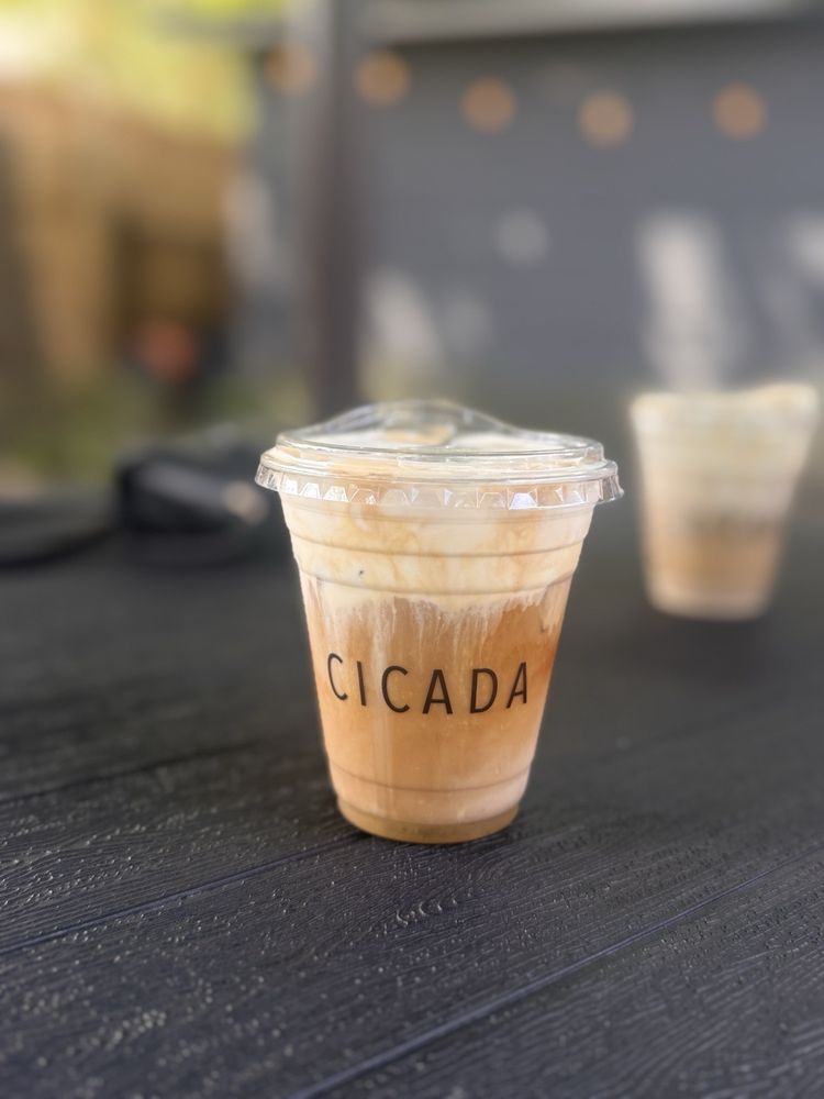 Cicada Coffee Logo