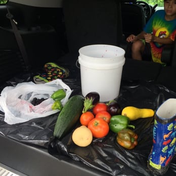 Fruits N Such Orchard - All this for $7 #cheapthrills - Farmers Market Near Me - Dickinson, Texas Fruits N Such Orchard - All this for $7 #cheapthrills - Farmers Market Near Me - Dickinson, Texas