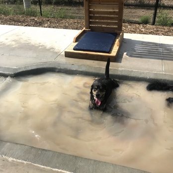 Bar K - Dog - Dog Parks Near Me - Kansas City, Missouri