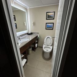 Miscasted bathroom