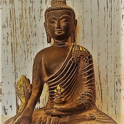Buchhandlung & Eventveranstaltung Wrage - Little Buddha und noch viele wunderschön gearbeitete andere Skulpturen. Besucht uns nahe dem Uni Viertel