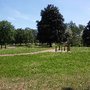 Photo of Glenview Park