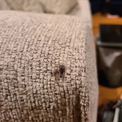 Hank's Fine Furniture & More - Brand new couch  delivered with  burnt hole in in  and management still haven't contacted us.