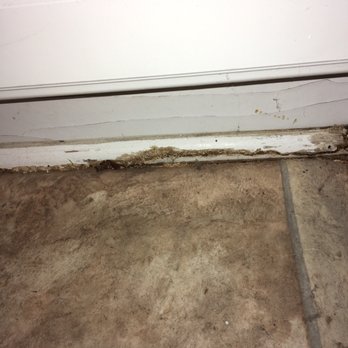 USA Restoration - The mold caused by the leak - Damage Restoration Near Me - Los Angeles, California USA Restoration - The mold caused by the leak - Damage Restoration Near Me - Los Angeles, California