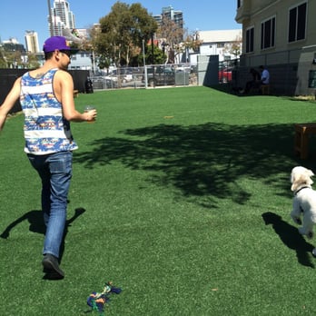 Quartyard - Beer and off leash dog fun! - Venues & Event Spaces Near Me - San Diego, California Quartyard - Beer and off leash dog fun! - Venues & Event Spaces Near Me - San Diego, California