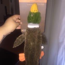 Big Lots - Got this duck for my pup $5. They have tons of Cesar Millian's toys.