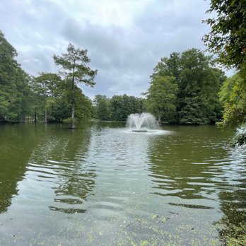 Swan Lake Iris Gardens - Parks Near Me - Sumter, South Carolina Swan Lake Iris Gardens - Parks Near Me - Sumter, South Carolina