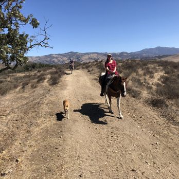 Vino Vaqueros Horseback Riding - The dog is half coyote and it came out to with us ! - Horseback Riding Near Me - Los Olivos, California Vino Vaqueros Horseback Riding - The dog is half coyote and it came out to with us ! - Horseback Riding Near Me - Los Olivos, California