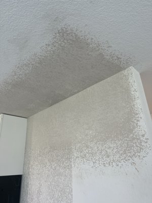 Texturing - Texas True Drywall Specializes in drywall home repairs as well as painting, some other skills we offer include : - Drywall Hanging - Tape & Float Services - Texture matching drywall repair - Drywall patching - Ceiling drywall repair - Water-damaged drywall repair • Hole in wall repair • Drywall texture matching • Popcorn ceiling repair • Drywall crack repair We also offer - Free Estimates ! - Competitive Pricing - Reliable & Professional - Quality Guaranteed - Great Value Texturing - Texas True Drywall Specializes in drywall home repairs as well as painting, some other skills we offer include : - Drywall Hanging - Tape & Float Services - Texture matching drywall repair - Drywall patching - Ceiling drywall repair - Water-damaged drywall repair • Hole in wall repair • Drywall texture matching • Popcorn ceiling repair • Drywall crack repair We also offer - Free Estimates ! - Competitive Pricing - Reliable & Professional - Quality Guaranteed - Great Value