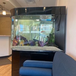 Watson Wellness - Beautiful aquarium! Relaxing to watch the fish in the lobby before your appointment.