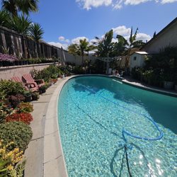 High Dive Pool and Spa