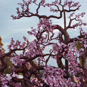 China Lights Wisconsin - Blossom tree - Festivals Near Me - Hales Corners, Wisconsin China Lights Wisconsin - Blossom tree - Festivals Near Me - Hales Corners, Wisconsin