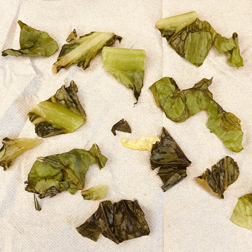 This is some of the bad lettuce in my salad This is some of the bad lettuce in my salad