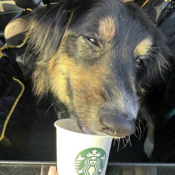 Starbucks - According to Miss Daisy, this is the best Starbucksin all of Prescott - Coffee & Tea Near Me - Prescott, Arizona