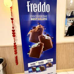 Freddo - Cooper City