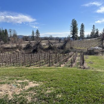 Montoliva Vineyard & Winery - Vineyard - Wineries Near Me - Grass Valley, California Montoliva Vineyard & Winery - Vineyard - Wineries Near Me - Grass Valley, California