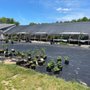 Photo of Faught's Greenhouse