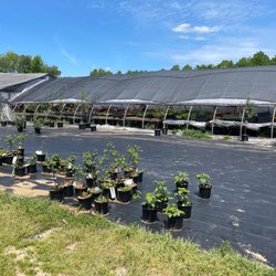 Faught's Greenhouse