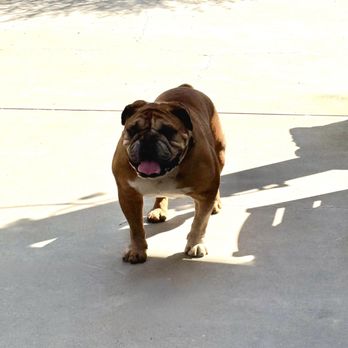 Whalebone Vineyard - Wineries Near Me - Paso Robles, California