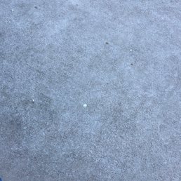 Bird droppings
