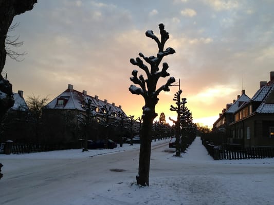 Ullevål Hageby by null