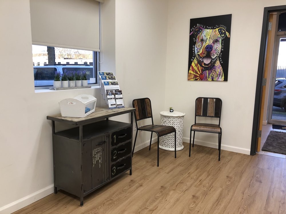 INSTINCT DOG BEHAVIOR & TRAINING ENGLEWOOD 13 Reviews 240