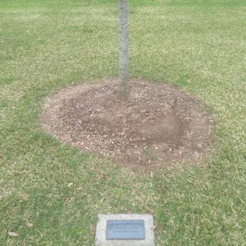 Sugar Lakes Park - In Loving Memory Of Jeevan Thomas - Parks Near Me - Sugar Land, Texas