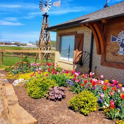 Millwood Animal Hospital & Equine Clinic - Millwood Animal Hospital & Pet Ranch