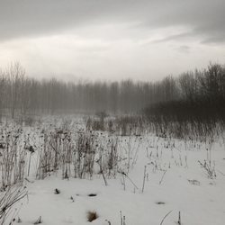 Forks of the Credit Provincial Park