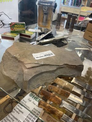 Wilson Mountain Sports by null