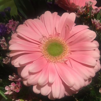 Bruce's Flowers - Florists Near Me - Norwalk, Connecticut Bruce's Flowers - Florists Near Me - Norwalk, Connecticut