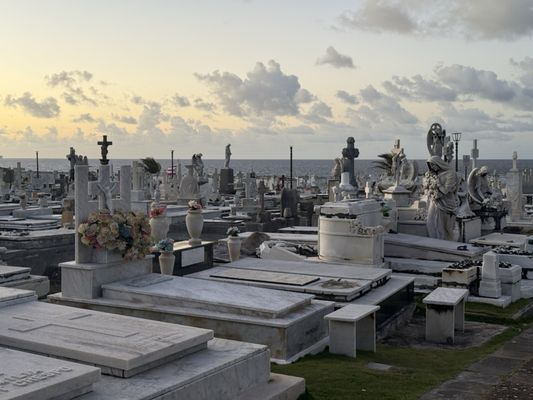 Cementerio Santa María Magdalena de Pazzis by null