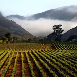 Santa Barbara Wine Shuttle
