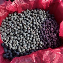 Dugualla Bay Berries