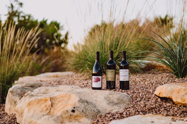 William Chris Vineyards by null William Chris Vineyards by null