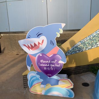 香港海洋公園 - This shark is hitting on us - Aquariums Near Me - Hong Kong, HK
